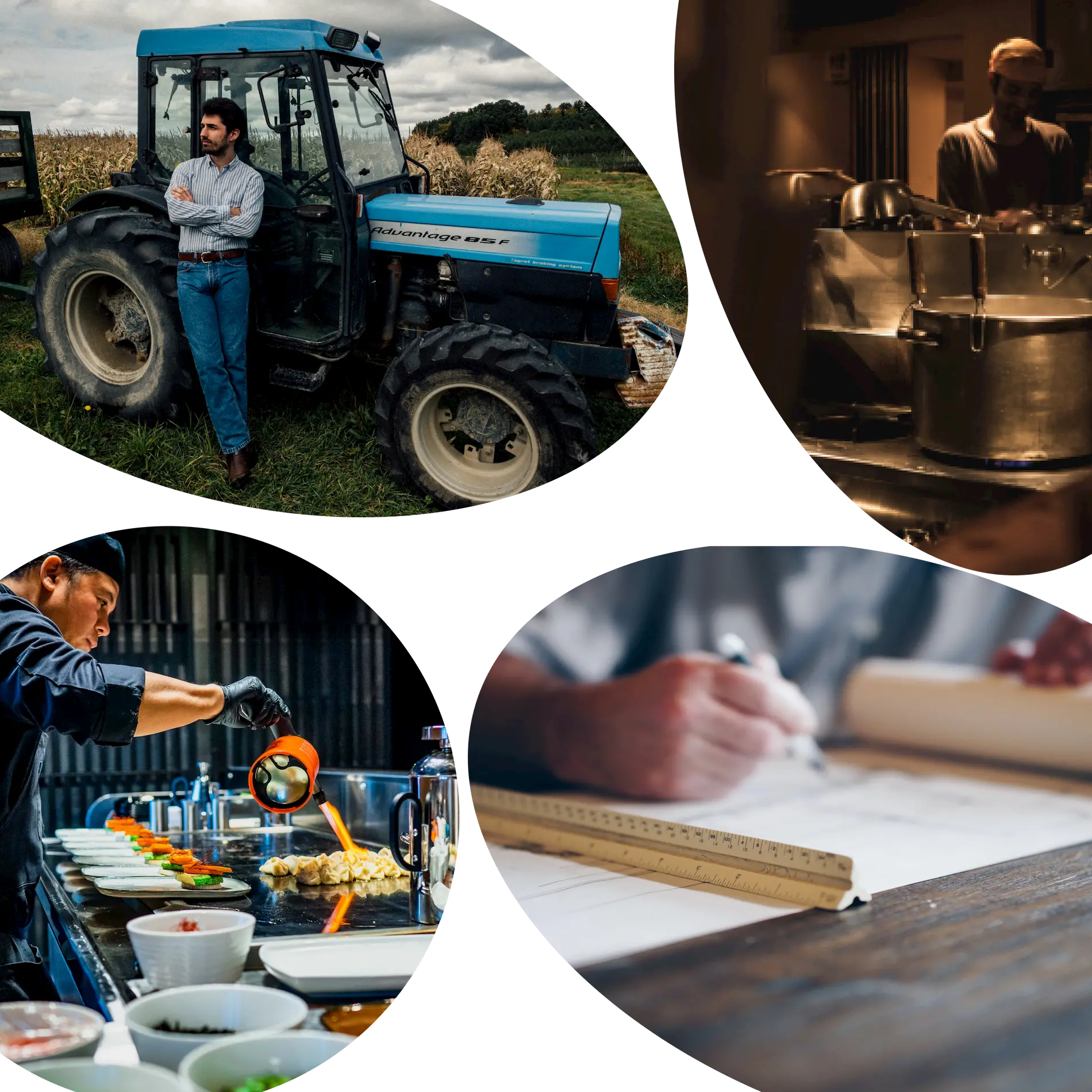 collage of workers - farmer, chefs, drafter