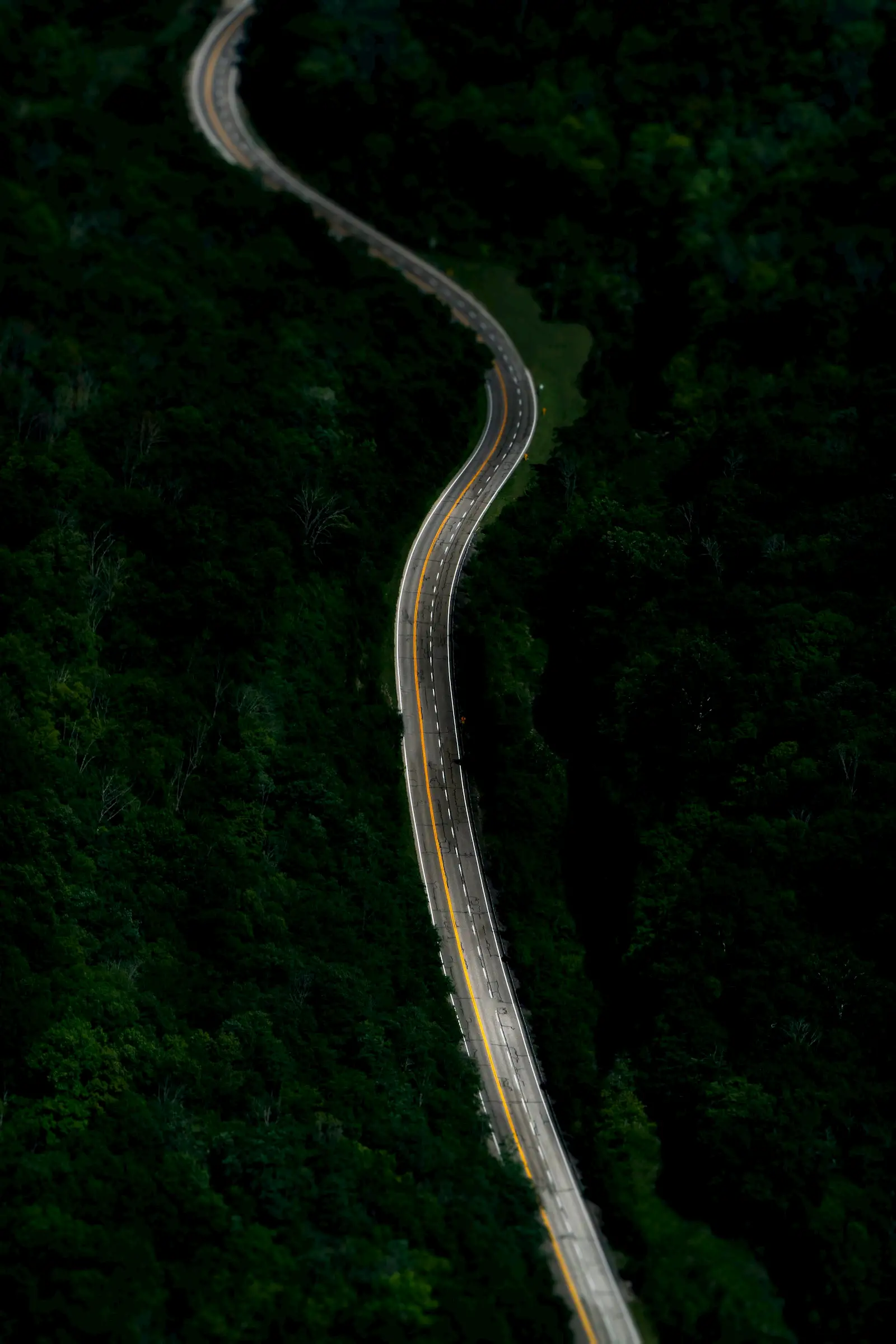 decorative- road through forest